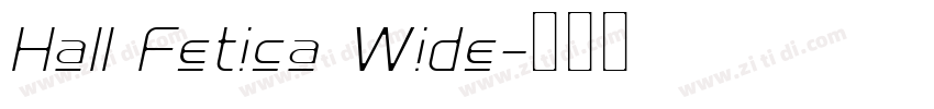 Hall Fetica Wide字体转换